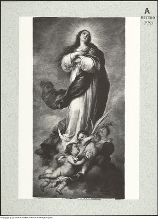 Vorderseite von bh459118_recto