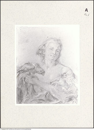 Vorderseite von bh459285_recto