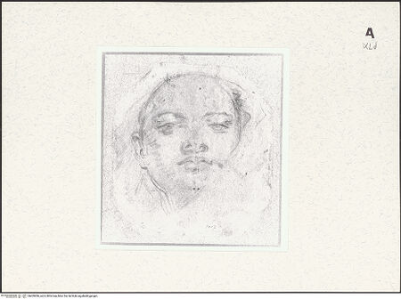 Vorderseite von bh459286_recto