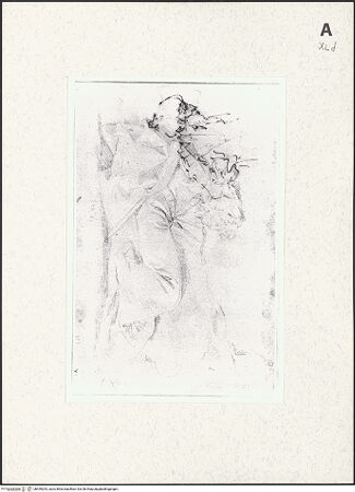 Vorderseite von bh459293_recto