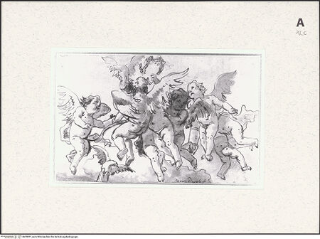 Vorderseite von bh459301_recto