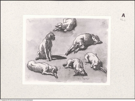 Vorderseite von bh459318_recto