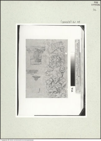 Vorderseite von bh459451_recto