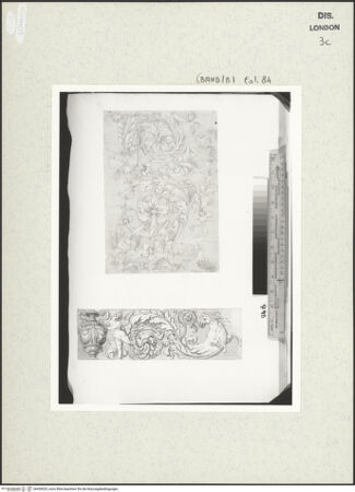 Vorderseite von bh459525_recto