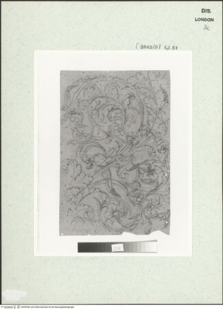 Vorderseite von bh459559_recto