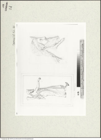 Vorderseite von bh459746_recto