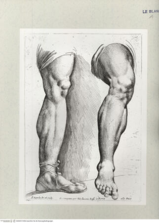 Vorderseite von Istituto Nazionale per la Grafica [http://creativecommons.org/publicdomain/mark/1.0/] Beinstudie - , bh460414. Foto.