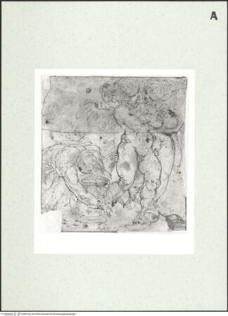 Vorderseite von bh460746_recto