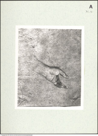 Vorderseite von bh460783_recto