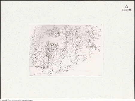 Vorderseite von bh461314_recto