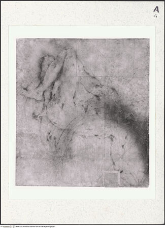 Vorderseite von bh461322_recto