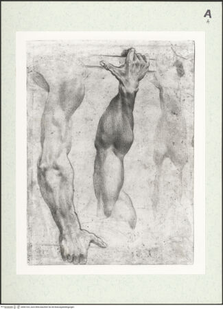 Vorderseite von A.C. Cooper Ltd. [https://www.deutsche-digitale-bibliothek.de/content/lizenzen/rv-ez/] Armstudien - , bh461323_recto. Foto.