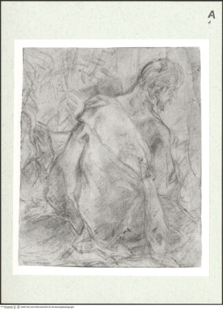 Vorderseite von bh461339_recto