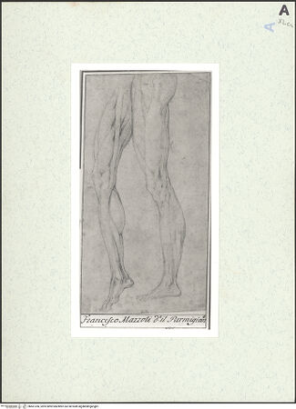 Vorderseite von bh461356_recto