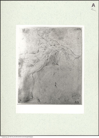 Vorderseite von bh461365_recto