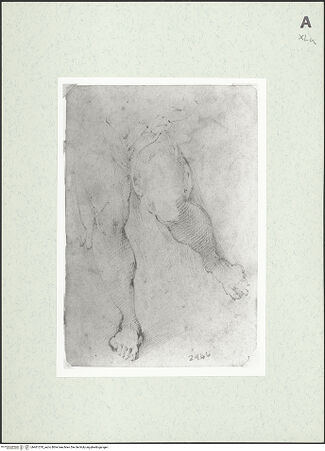 Vorderseite von bh461370_recto