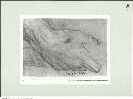 Vorderseite von bh461670_recto