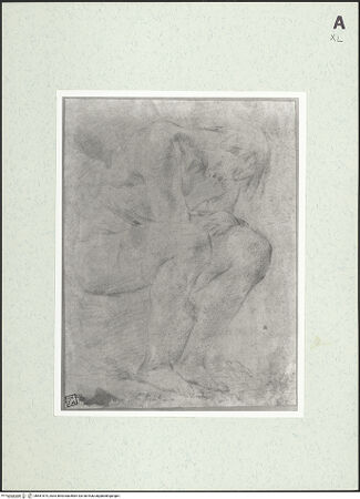 Vorderseite von bh461674_recto