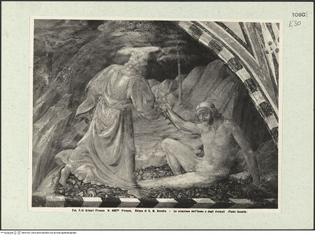 Vorderseite von bh461687_recto