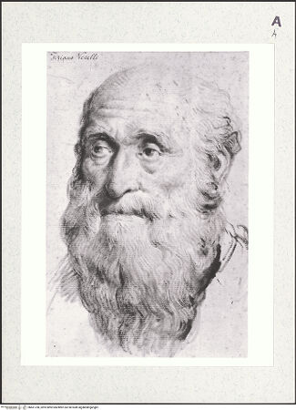 Vorderseite von bh461768_recto