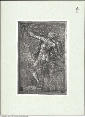 Vorderseite von bh461874_recto