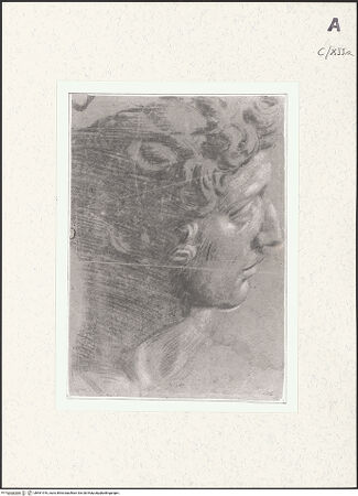 Vorderseite von bh461916_recto