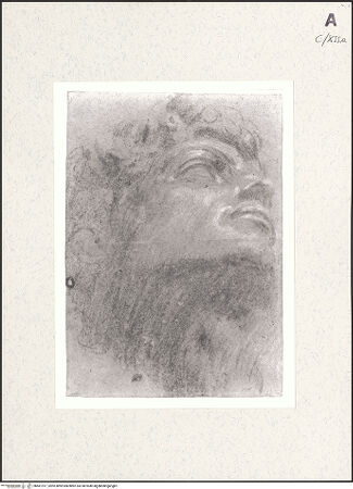 Vorderseite von bh461917_recto