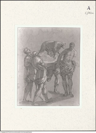 Vorderseite von bh461922_recto