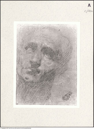 Vorderseite von bh461924_recto