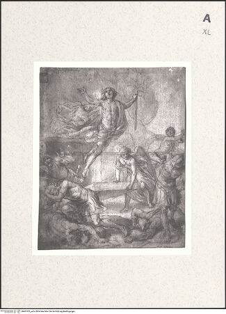 Vorderseite von bh461935_recto