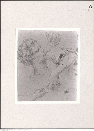 Vorderseite von bh461957_recto