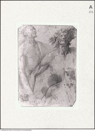 Vorderseite von bh462001_recto