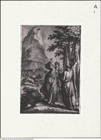 Vorderseite von bh462022_recto