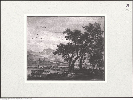 Vorderseite von bh462081_recto