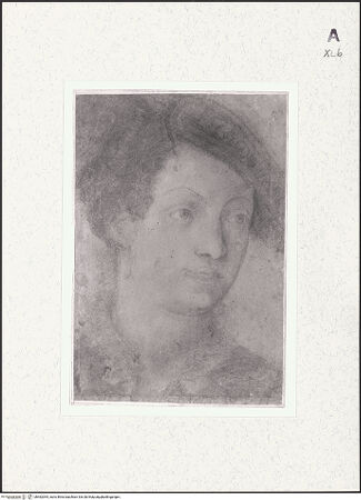 Vorderseite von bh462094_recto