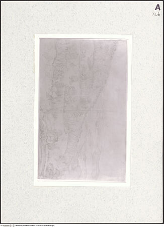 Vorderseite von bh462099_recto