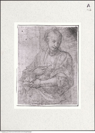 Vorderseite von bh462100_recto