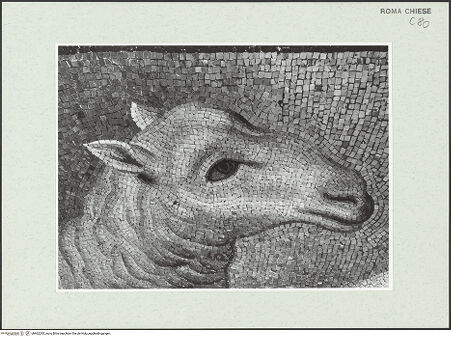 Vorderseite von Sopr. BAS ROMA [https://www.deutsche-digitale-bibliothek.de/content/lizenzen/rv-ez/] Christus Pantokrator zwischen den Heiligen Petrus, Paulus, Kosmas und Damian, Theodor und Felix - Lämmerfries, Detail: Kopf eines Lammes, Teil der Renovation unter Kardinal Francesco Barberini (1669-71), nach der Restaurierung 1988/1989, bh462295_recto. Foto.