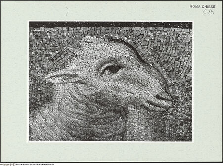 Vorderseite von Sopr. BAS ROMA [https://www.deutsche-digitale-bibliothek.de/content/lizenzen/rv-ez/] Christus Pantokrator zwischen den Heiligen Petrus, Paulus, Kosmas und Damian, Theodor und Felix - Lämmerfries, Detail: Kopf eines Lammes aus der Restaurierung unter Kardinal Francesco Barberini (1669-71), nach der Restaurierung 1988/1989, bh462296_recto. Foto.