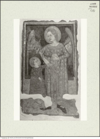 Vorderseite von bh462352_recto