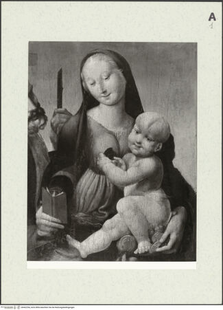 Vorderseite von bh462354_recto