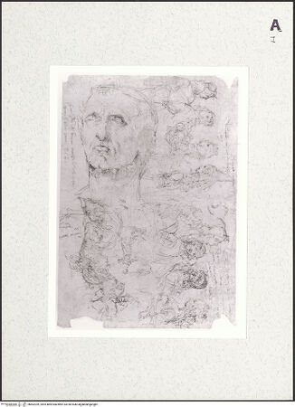 Vorderseite von bh462399_recto