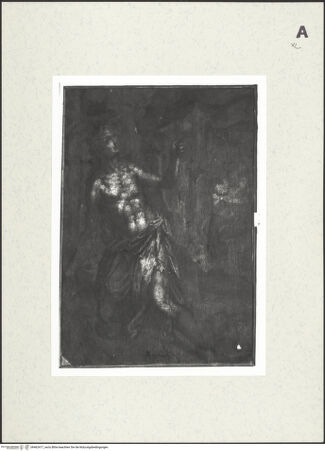 Vorderseite von bh462417_recto