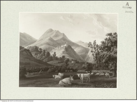 Vorderseite von bh462479_recto