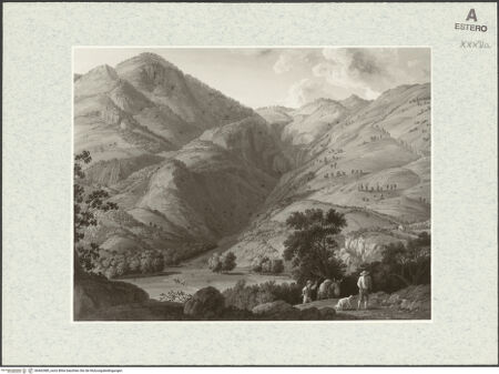 Vorderseite von bh462480_recto