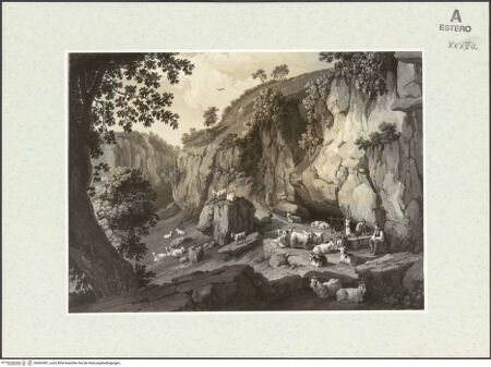 Vorderseite von bh462481_recto