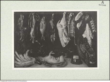 Vorderseite von bh462508_recto