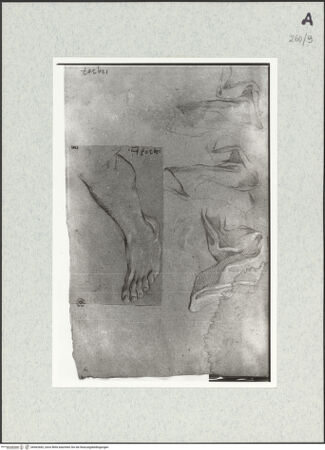 Vorderseite von Istituto Nazionale per la Grafica [https://www.deutsche-digitale-bibliothek.de/content/lizenzen/rv-ez/] Bein- und Gewandstudie - , bh462682_recto. Foto.