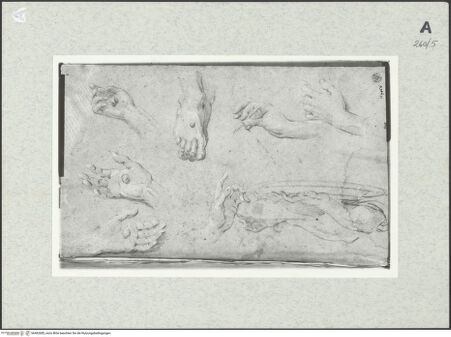 Vorderseite von Istituto Nazionale per la Grafica [https://www.deutsche-digitale-bibliothek.de/content/lizenzen/rv-ez/] Handstudien - , bh462685_recto. Foto.