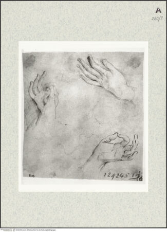 Vorderseite von Istituto Nazionale per la Grafica [https://www.deutsche-digitale-bibliothek.de/content/lizenzen/rv-ez/] Handstudien - , bh462693_recto. Foto.